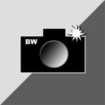 BW Camera Image