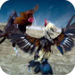Farm Rooster Deadly Fight 3D Image