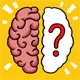 Brain Test Icon Image