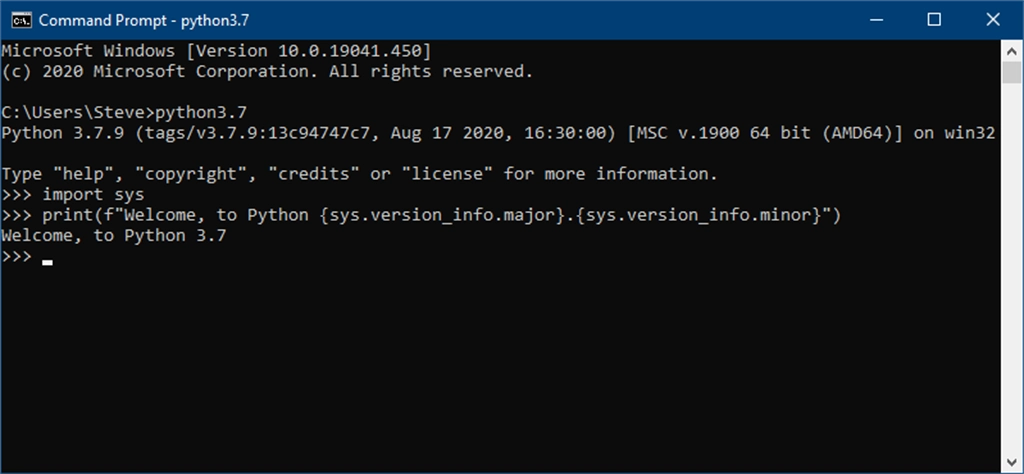 Python 3.7 Screenshot Image