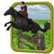 Horse Racing Virtual Simulator