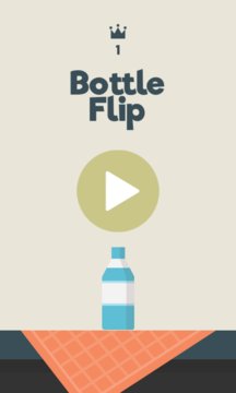Bottle Flip 2017