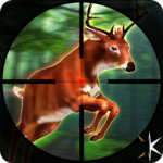 Wild Deer Hunting Adventure
