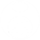 8 Ball of Fortune Icon Image