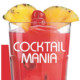 Cocktail Mania Icon Image