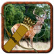 Archer Animal Hunting Icon Image