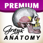 Grey's Anatomy Premium Image