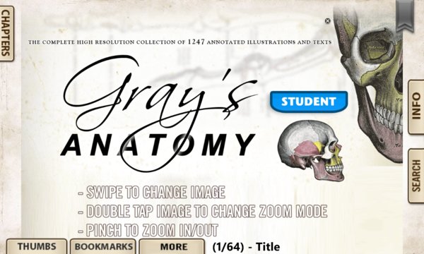 Grey's Anatomy Premium