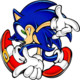 Sonic Advanced