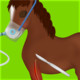 Horse Surgery Icon Image