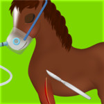 Horse Surgery Image