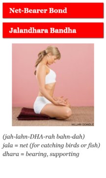 Yoga For Meditation Screenshot Image