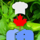 Canad Wild Food Icon Image