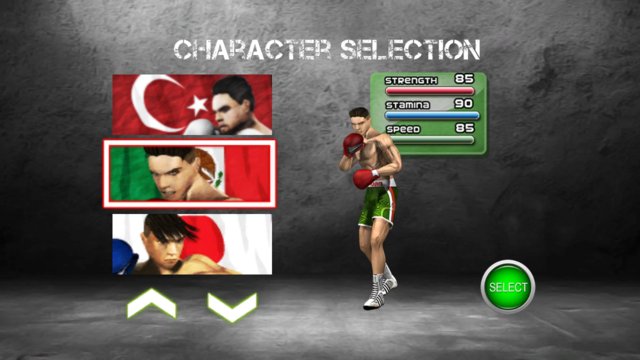 Fighting Boxing Screenshot Image