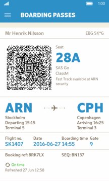 SAS Scandinavian Airlines Screenshot Image