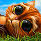 Indy Cat Match 3 Icon Image