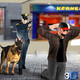 Police Criminal Arrest Simulator - Hostage Rescue Icon Image
