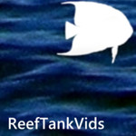 ReefTankVids 1.0.26.0 for Windows Phone