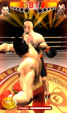 Iron Fist Boxing Screenshot Image
