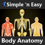 Human Body Anatomy 10.5.0.0 for Windows Phone