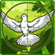 Spy Pigeon: Invasion Icon Image
