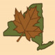 NYS Maple Weekend Icon Image
