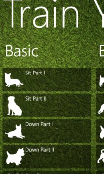 Train Your Dog Screenshot Image