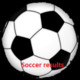 Soccer Results Icon Image