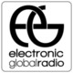 Electronic Global Radio Icon Image
