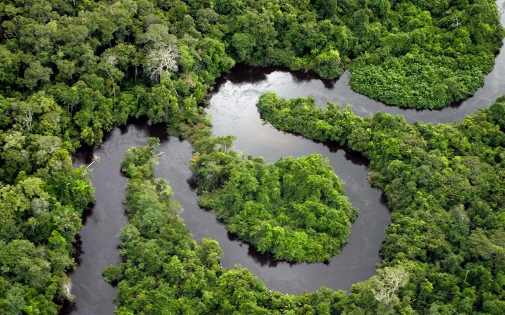 Amazon Rainforest Screenshot Image #2