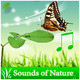 Sounds of Nature Icon Image