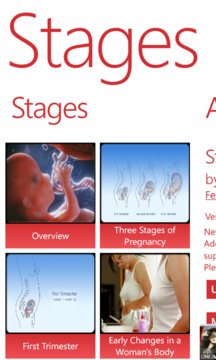 Pregnancy Stages Screenshot Image