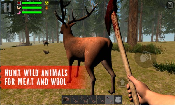 Epic Survivor Forest Screenshot Image