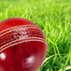 CricketScores Icon Image