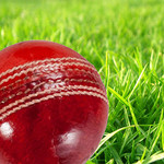 CricketScores Image