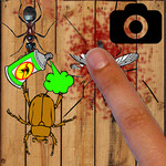 Insects  Killer 1.0.0.1 for Windows Phone