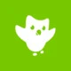 Duolingo Icon Image
