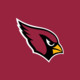 Arizona Cardinals Icon Image