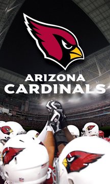 Arizona Cardinals Screenshot Image