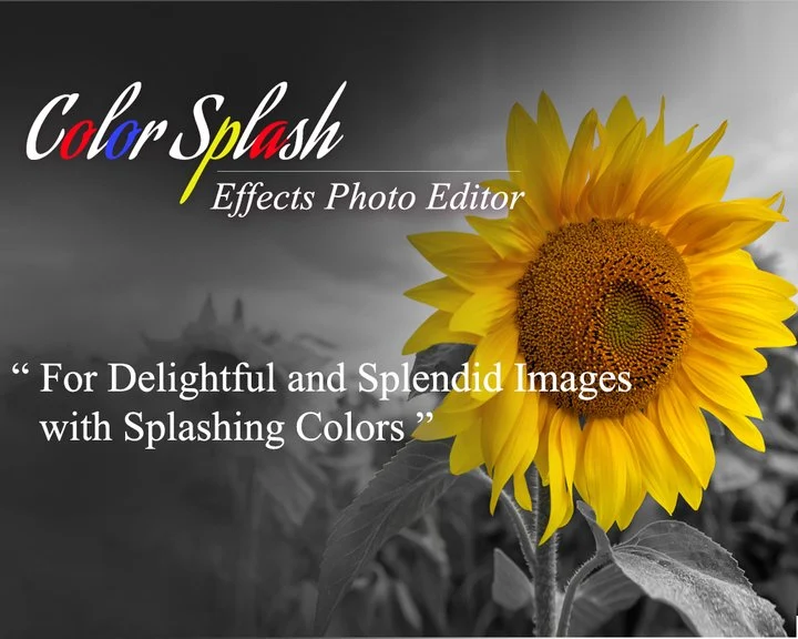 Color Splash Effects Photo Editor