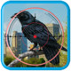 City Common Raven Hunter 3D Icon Image