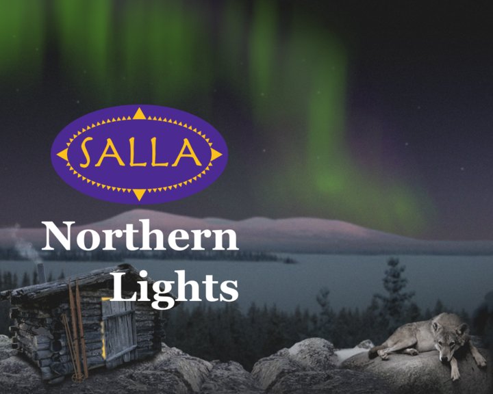 Salla Northern Lights Image