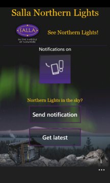 Salla Northern Lights Screenshot Image