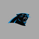 Carolina Panthers Icon Image