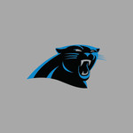Carolina Panthers Image