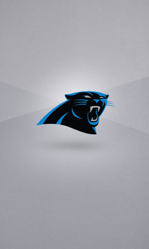 Carolina Panthers Screenshot Image