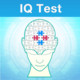IQ Test Icon Image