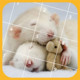 Mouse Jigsaw Puzzles Icon Image