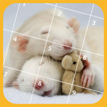 Mouse Jigsaw Puzzles Image