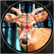 Deer Hunt Angry Shooting 3D Icon Image